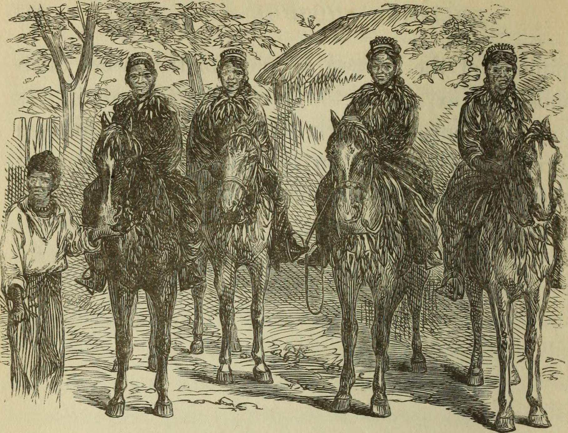 Vivir en un Crucero: Descubre el MV Narrative, la Ciudad Flotante para Residencias Permanentes