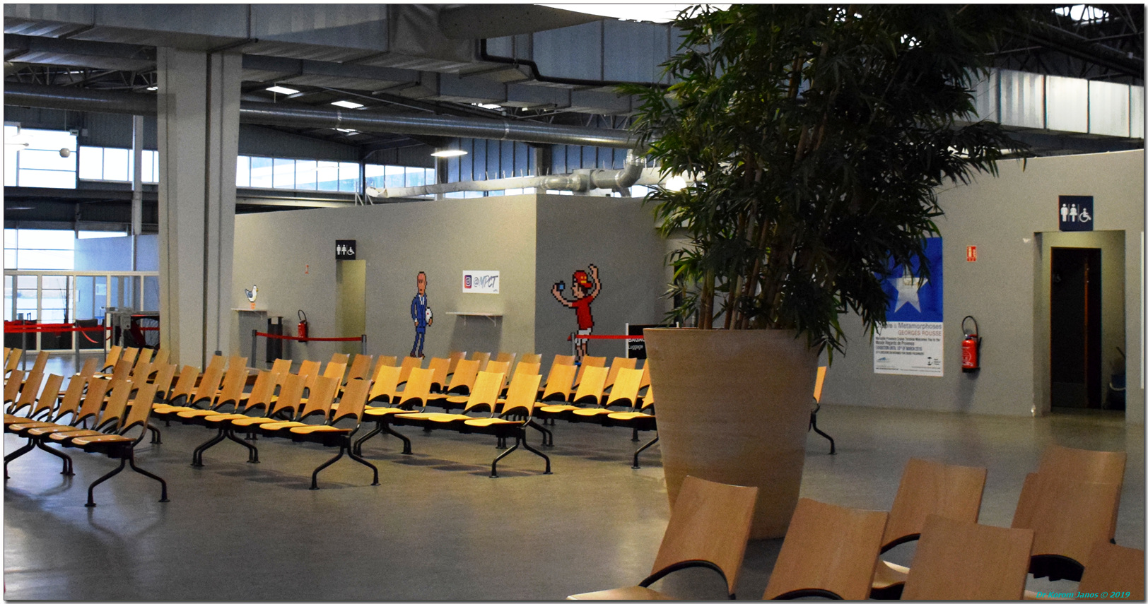 MSC Fantasia en Sudamérica: La Temporada 2025-2026 desde Brasil